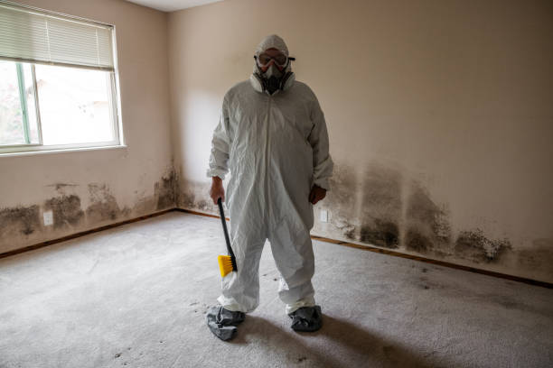 Columbia, KY Mold Removal Company